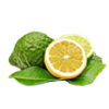 Bergamot